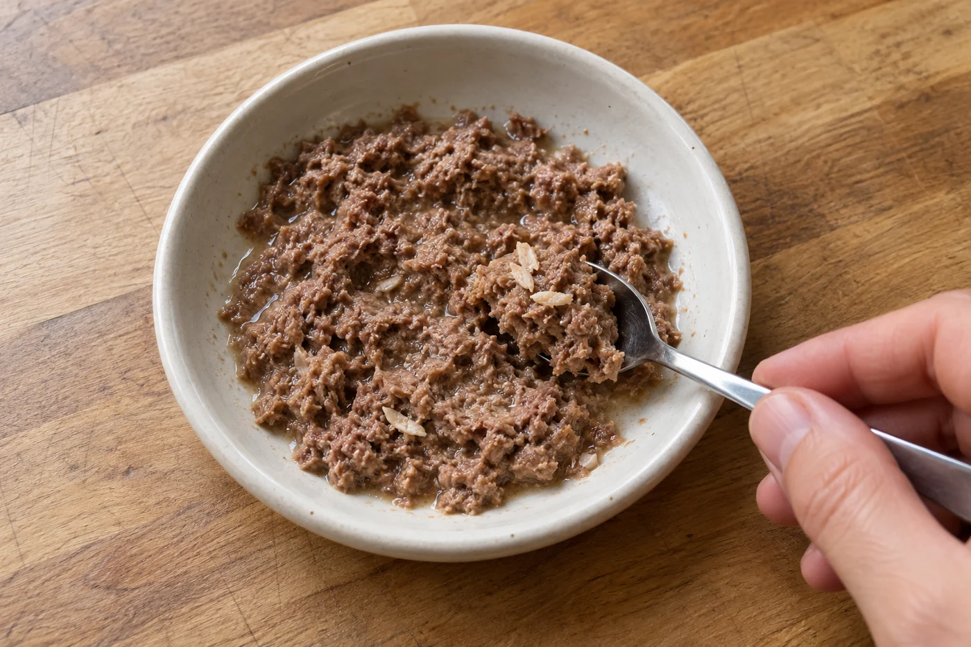 A metal spoon folds a few freeze-dried chicken crumbs into a small portion of moist cat food in a shallow bowl