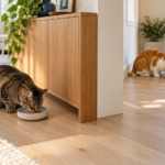 Two adult cats eating from separate bowls on opposite sides of a solid room divider.